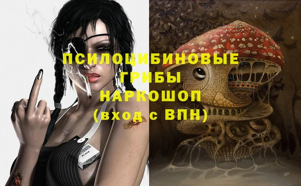 spice Верея