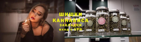 spice Верея