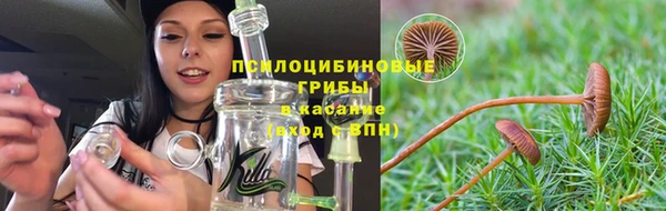прущие крисы Верхний Тагил