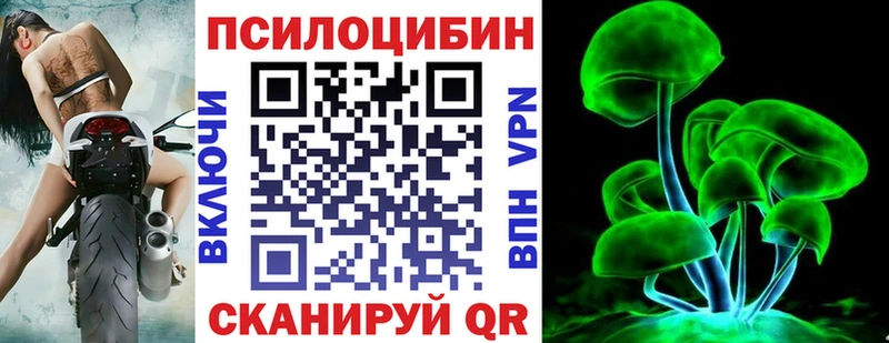 Псилоцибиновые грибы мицелий  Купить  Петров Вал 