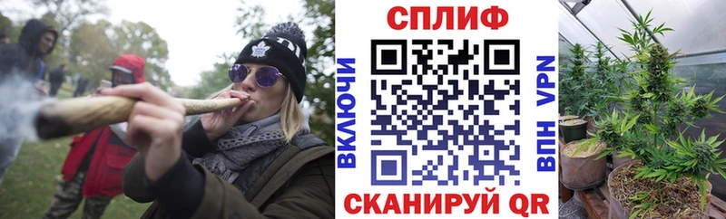 Купить  Петров Вал  Бошки марихуана гибрид 